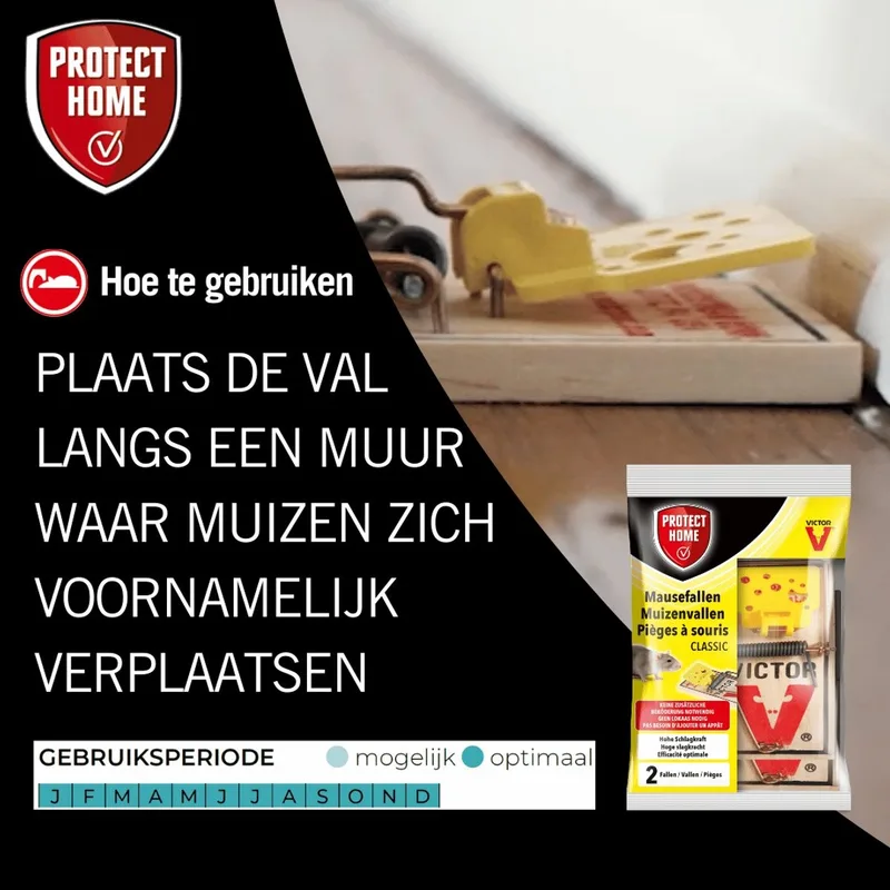 Protect Home Victor Pest Houten Muizenval - 2 stuks