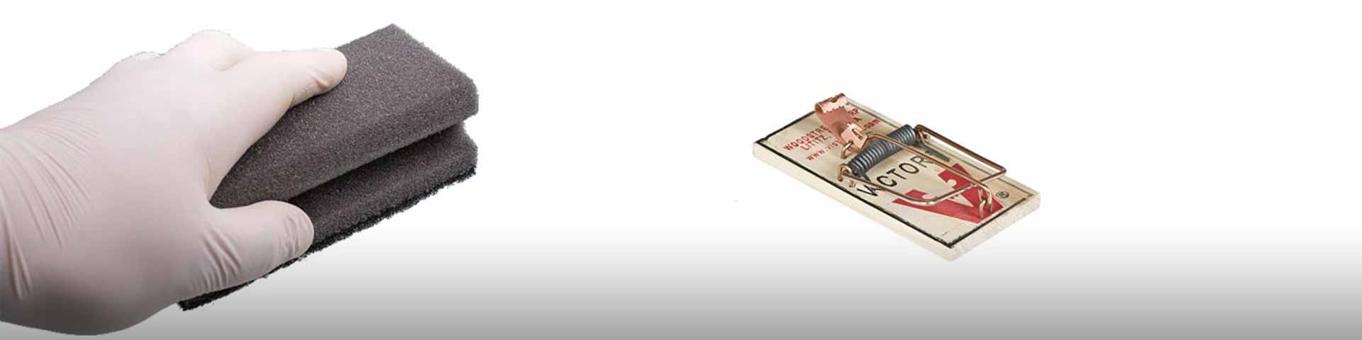muizenval-schoonmaken-1920x480