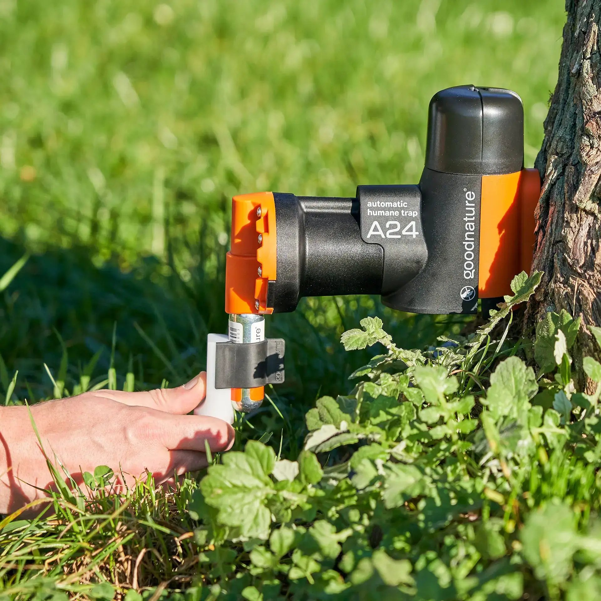 Goodnature A24 Digitale vangst teller