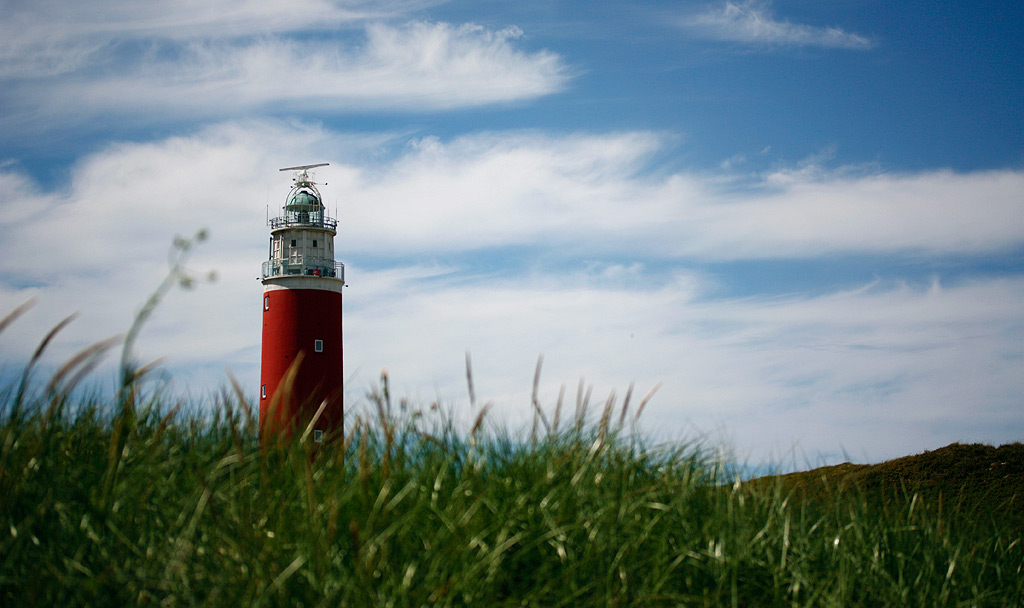 Texel-macrovet
