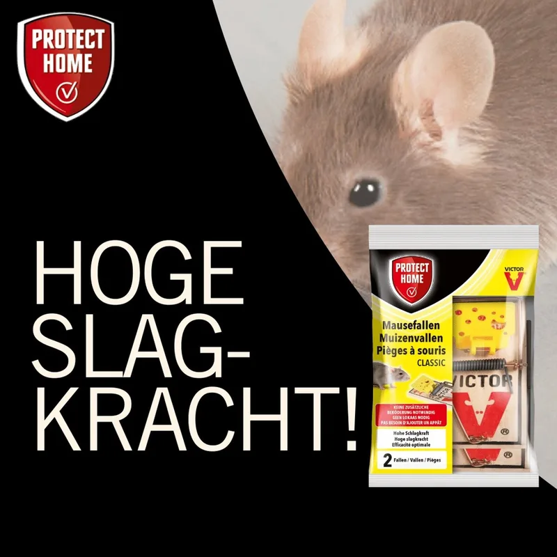 Protect Home Victor Pest Houten Muizenval - 2 stuks
