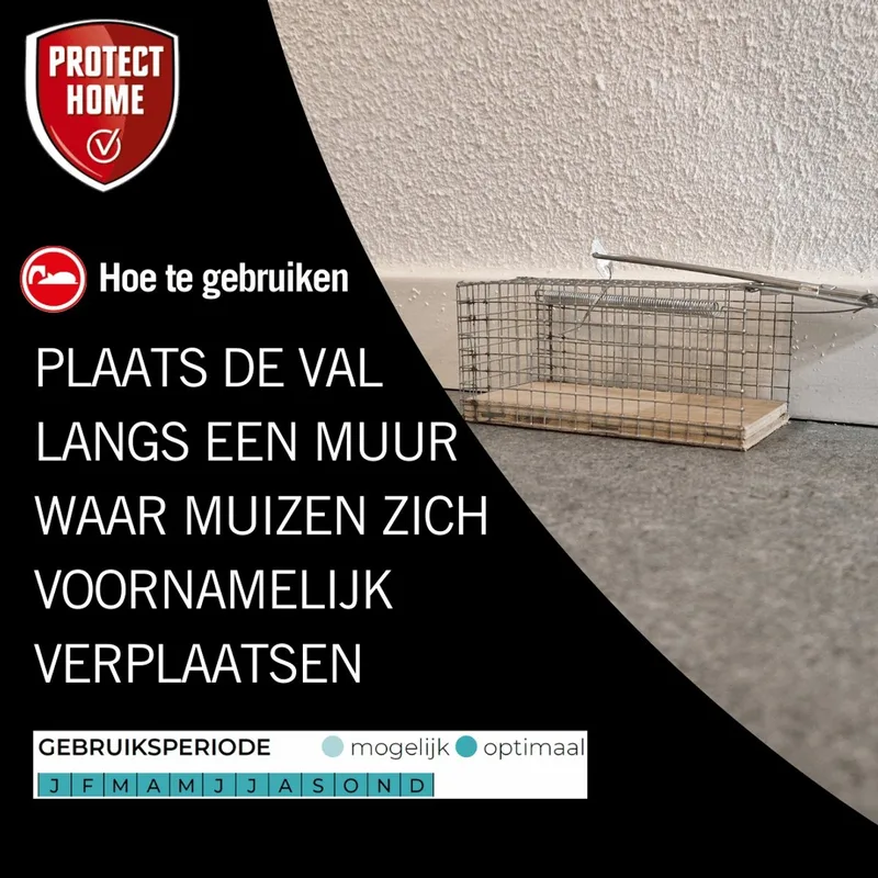 Protect Home Muizen Vangkooi