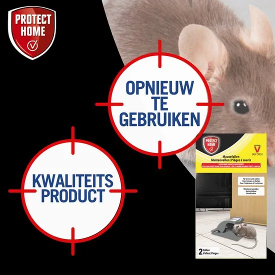 Protect Home Kunststof Muizenval Safe Set 