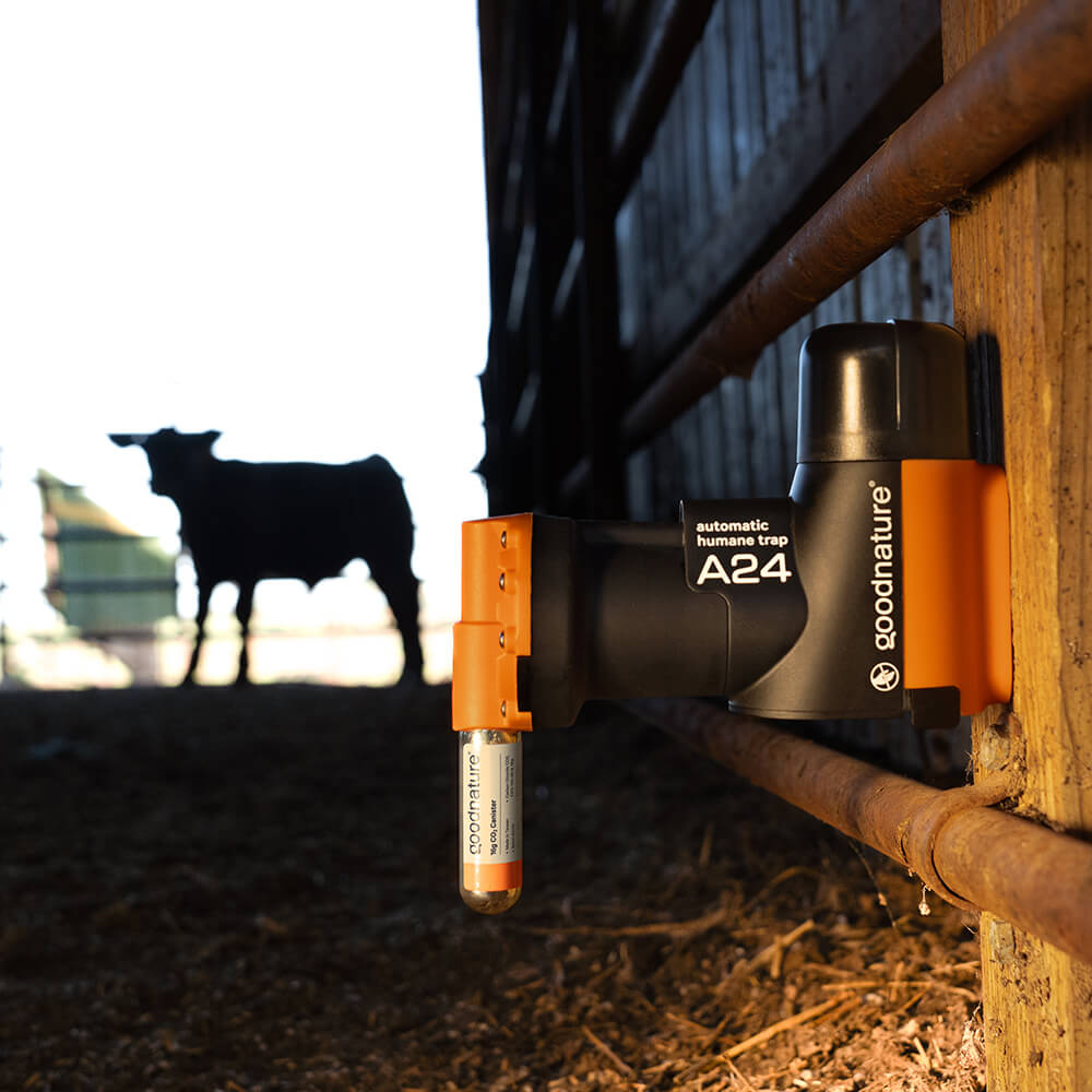 Goodnature CO2 patroon voor A24 val 2 stuks