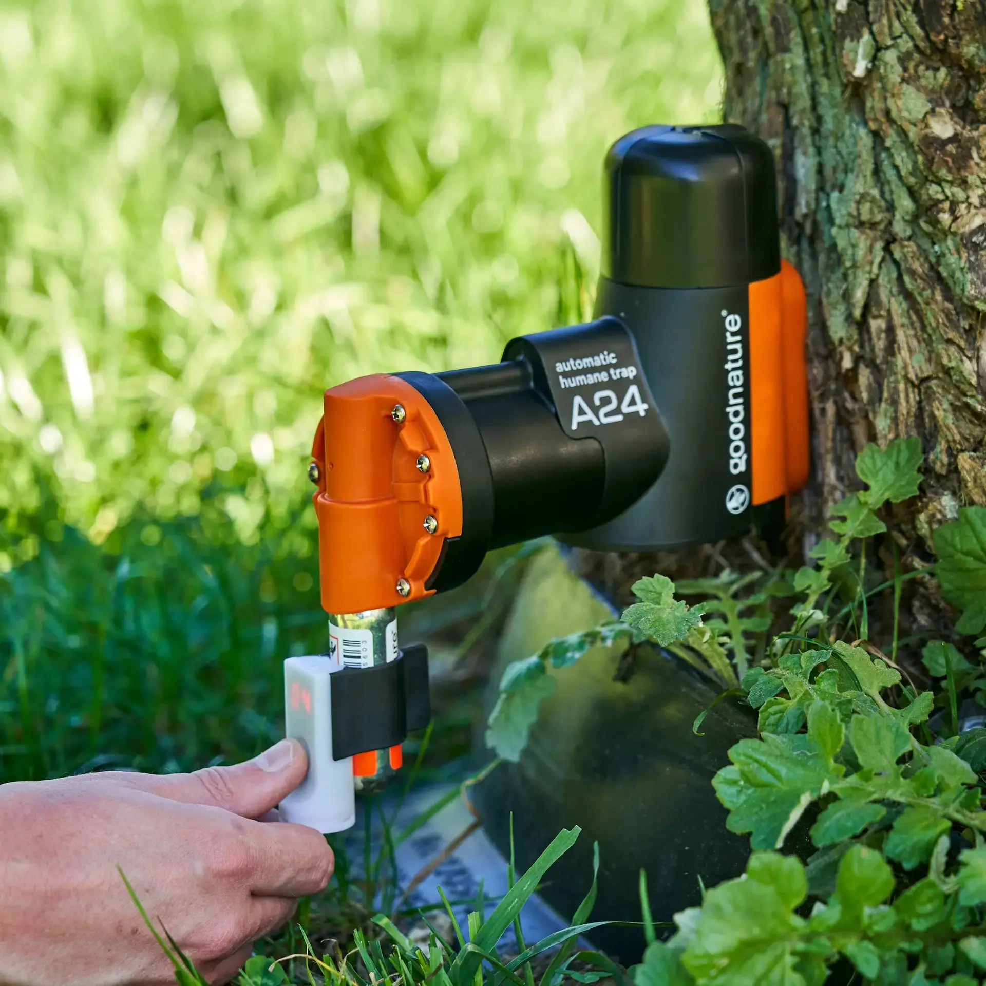 Goodnature A24 Digitale vangst teller