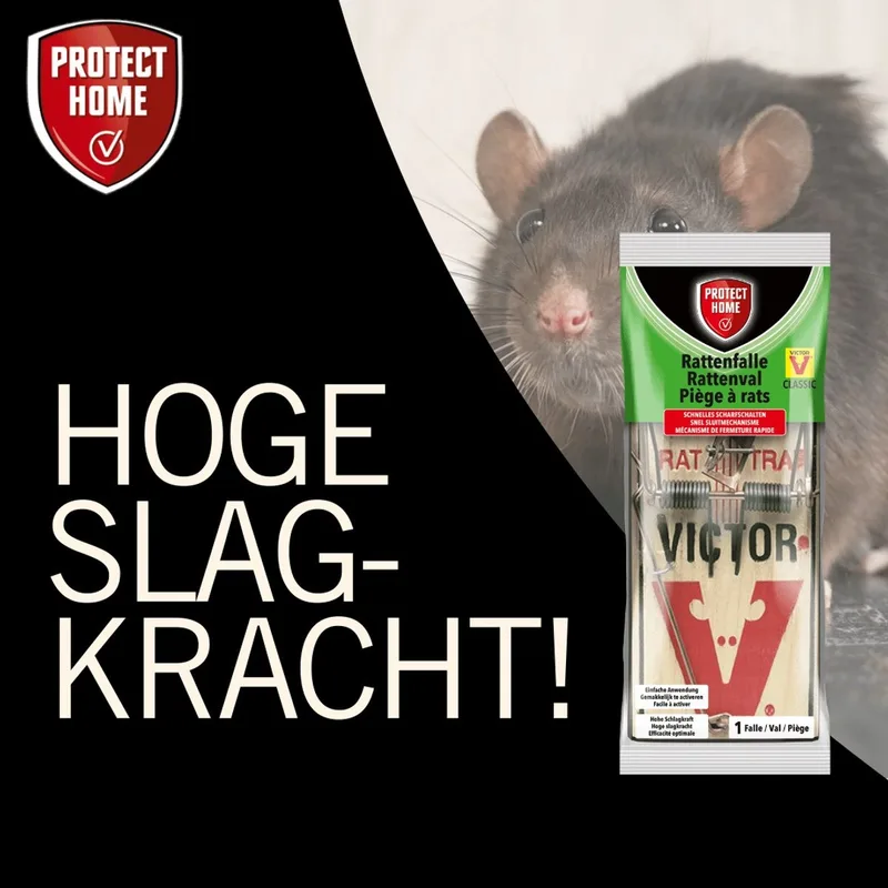 Protect Home Victor Pest Houten Rattenval - 1 stuk