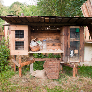 muizen-ratten-voorkomen-bij-een-konijnenhok-300x300px.png?ts=1791460239