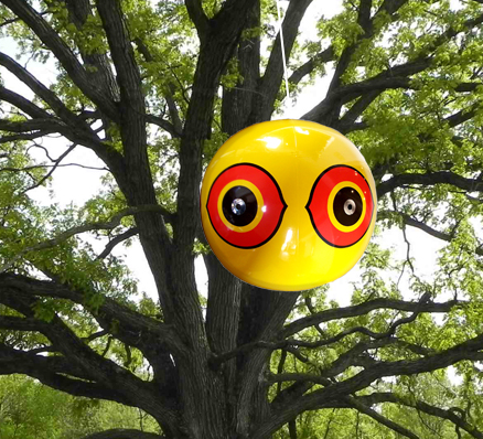 Scare Eyes - Vogelverschrikker