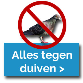 duiven_(1).jpg