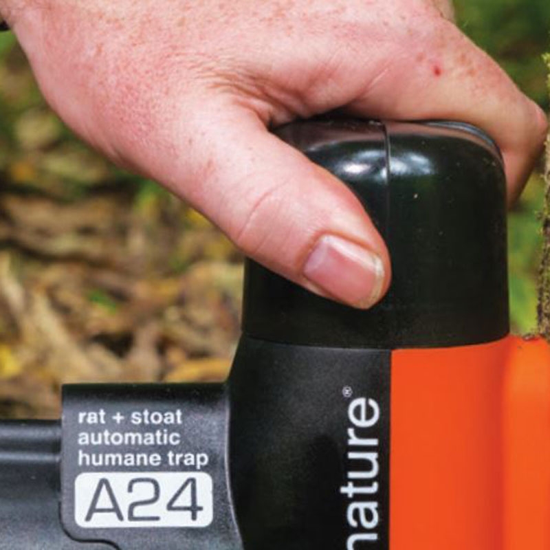 Goodnature Automatische lokstof pomp pindakaas