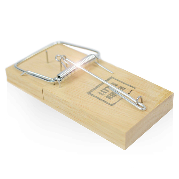 mousetrap, houten ondergrond, springval, metaalval, ongediertebestrijding