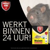 rat, muis, ongediertebestrijder, express lokdozen, pakket