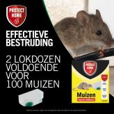 muizenval, lokdozen, express lokdozen, in Huis, Protect Home