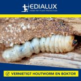 houtworm, boktor, insectenplaag, houtbeschadiging, rups